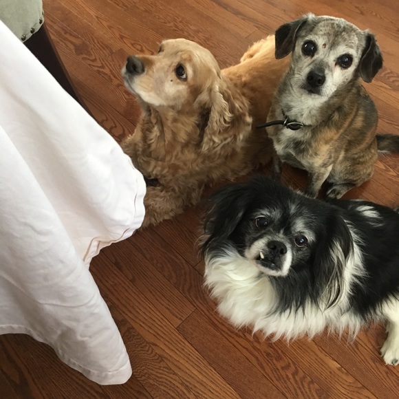 Hi welcome to Pam’s Preloved - Picture 5 of 7